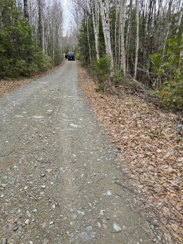 Lot 18-5 Camp Road Mount Chase ME 04765