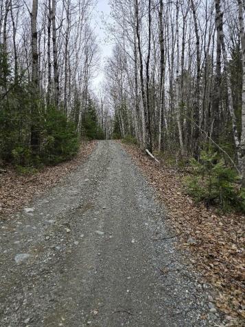 Lot 18-5 Camp Road Mount Chase ME 04765