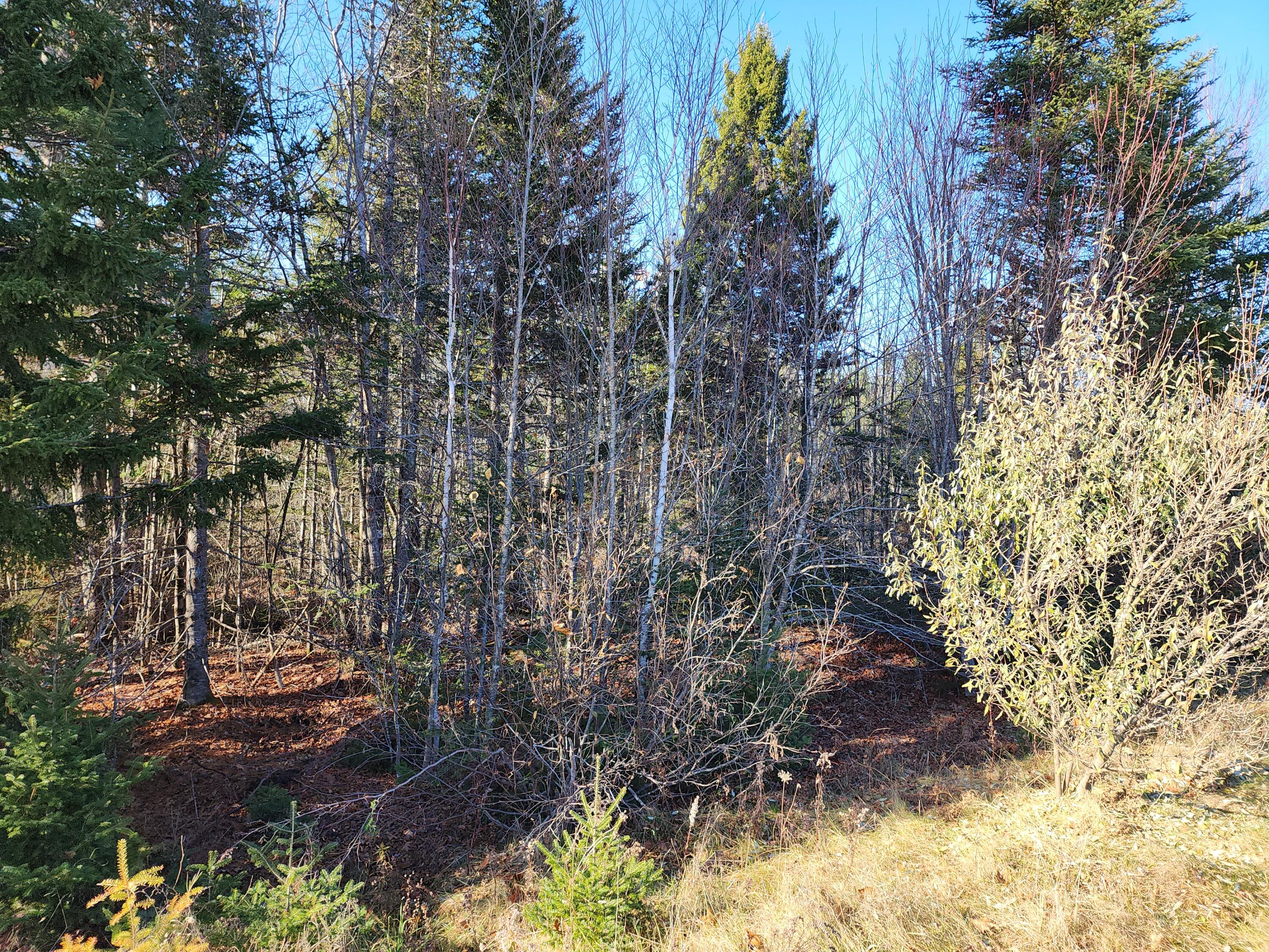 41 Sandy Ridge Lane Searsport ME 04974