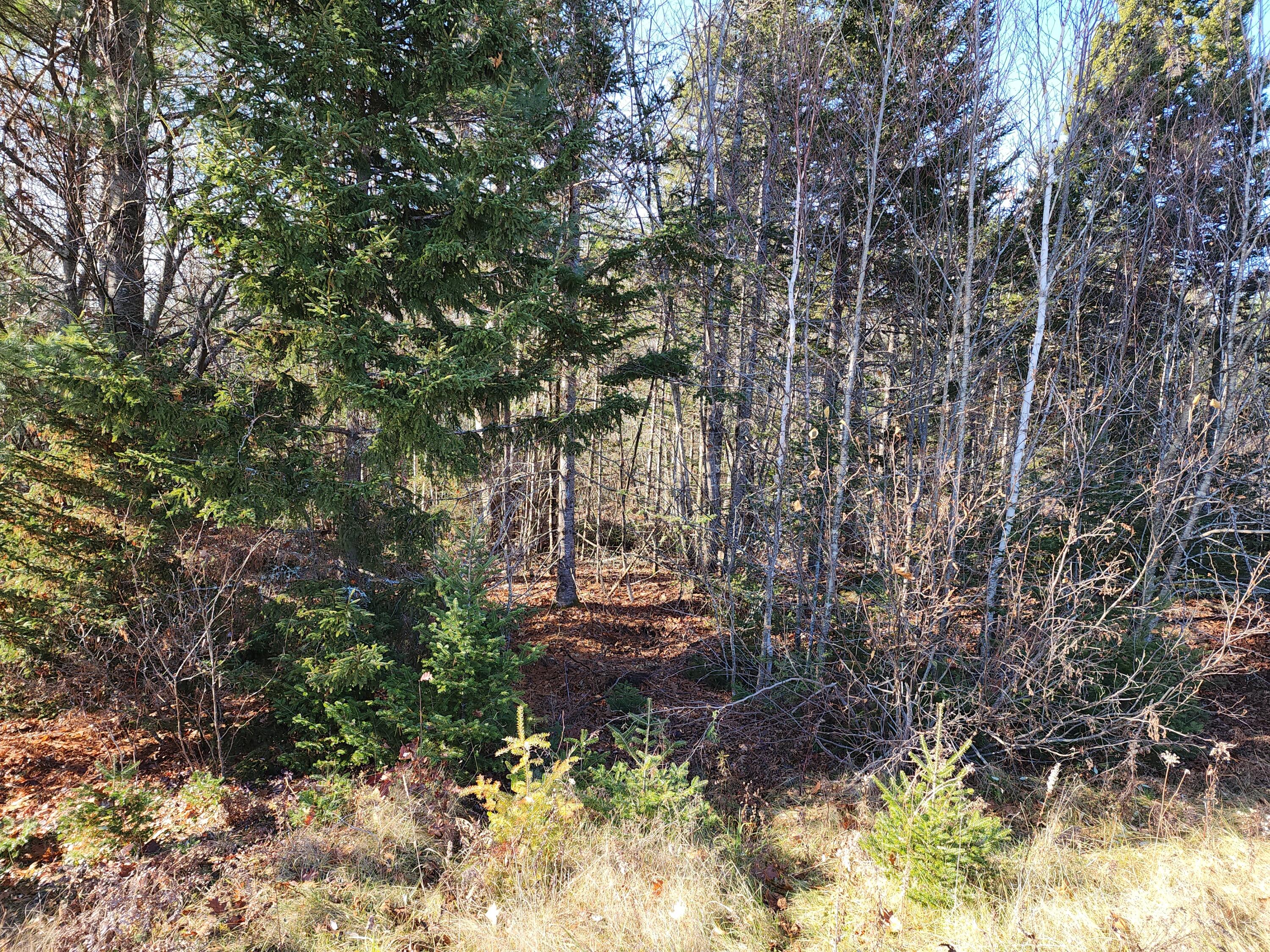 41 Sandy Ridge Lane Searsport ME 04974