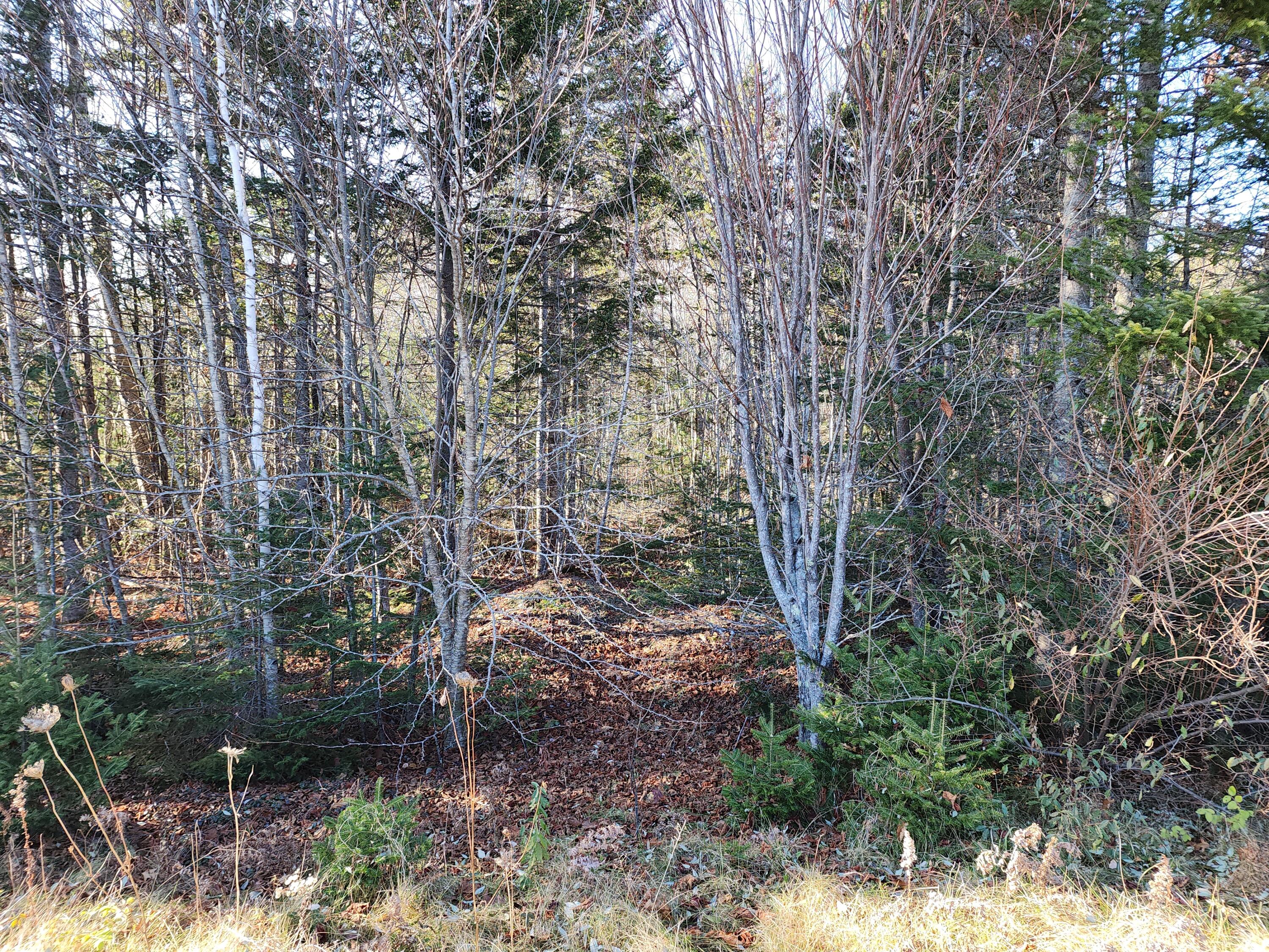 41 Sandy Ridge Lane Searsport ME 04974