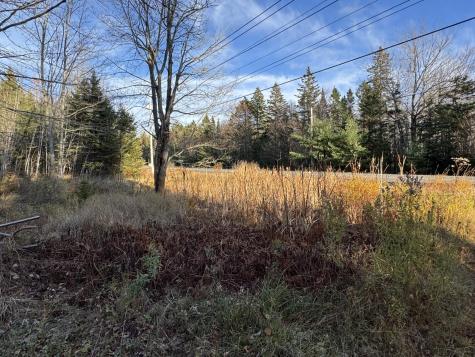 604 U.s. 1 Columbia Falls ME 04623