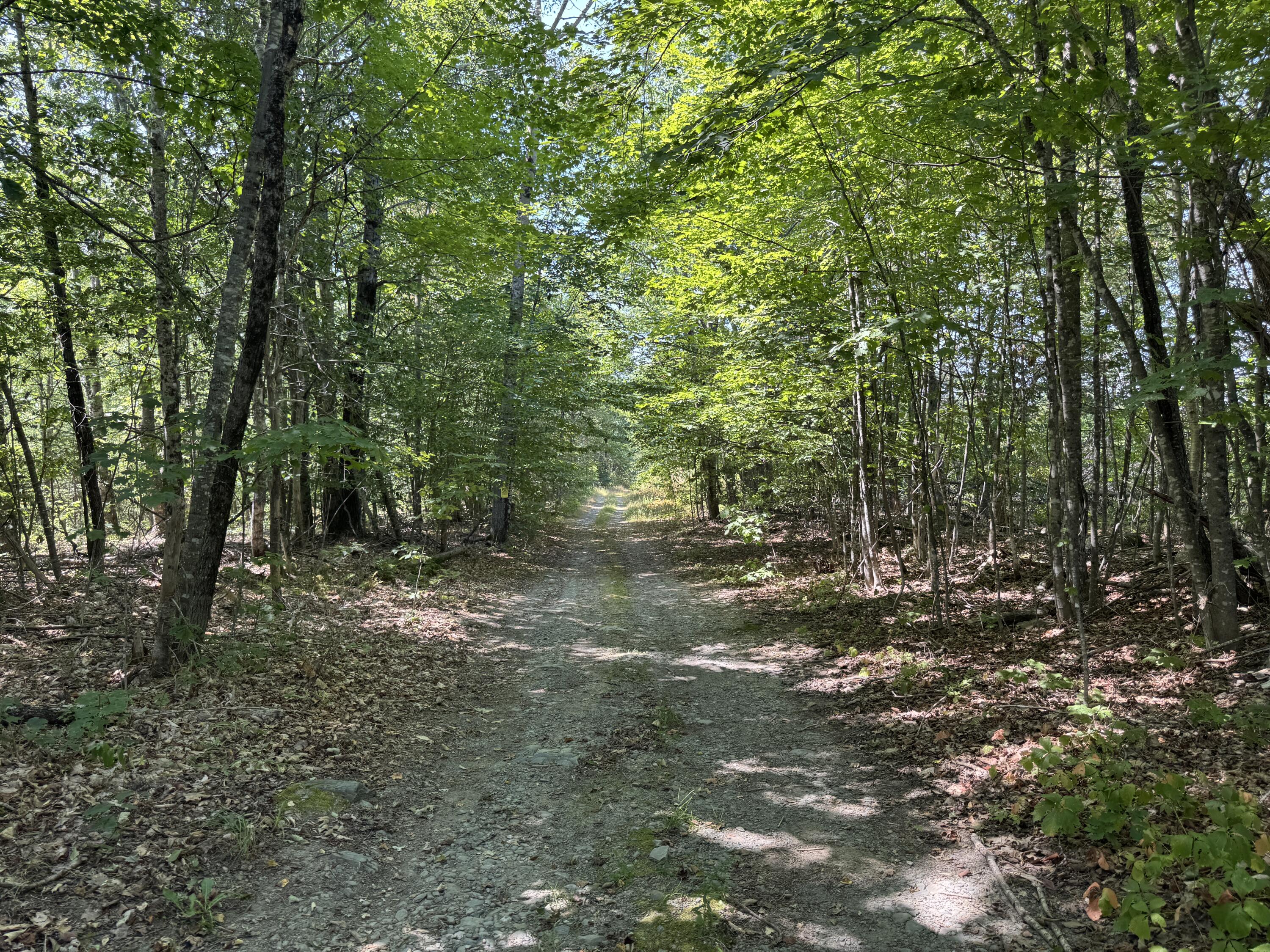 00 Jackman Corner Road Sangerville ME 04479