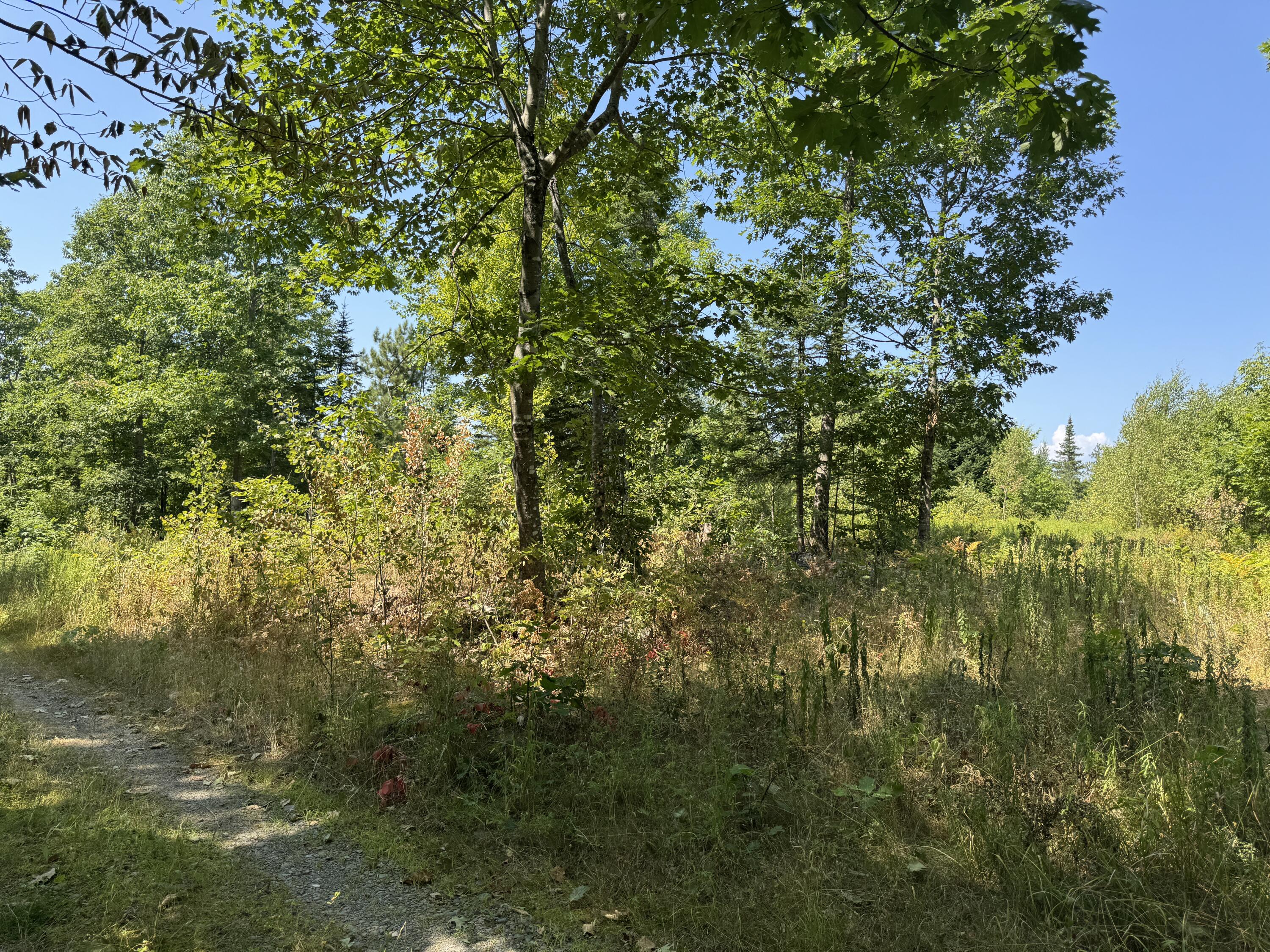 00 Jackman Corner Road Sangerville ME 04479