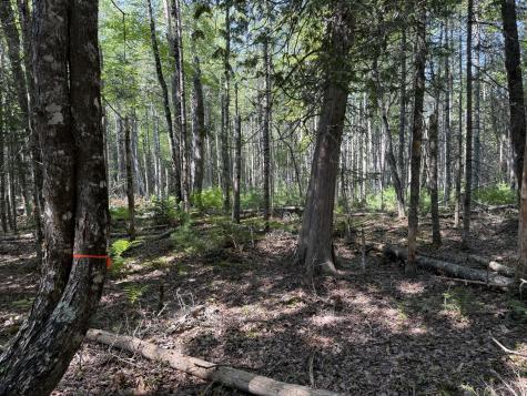 0 Beechland Road Ellsworth ME 04605