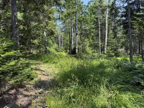 0 Beechland Road Ellsworth ME 04605