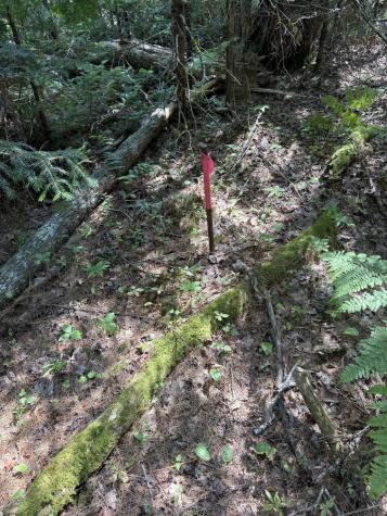 0 Beechland Road Ellsworth ME 04605