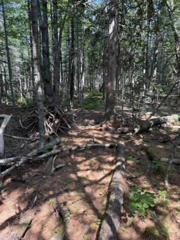 0 Beechland Road Ellsworth ME 04605