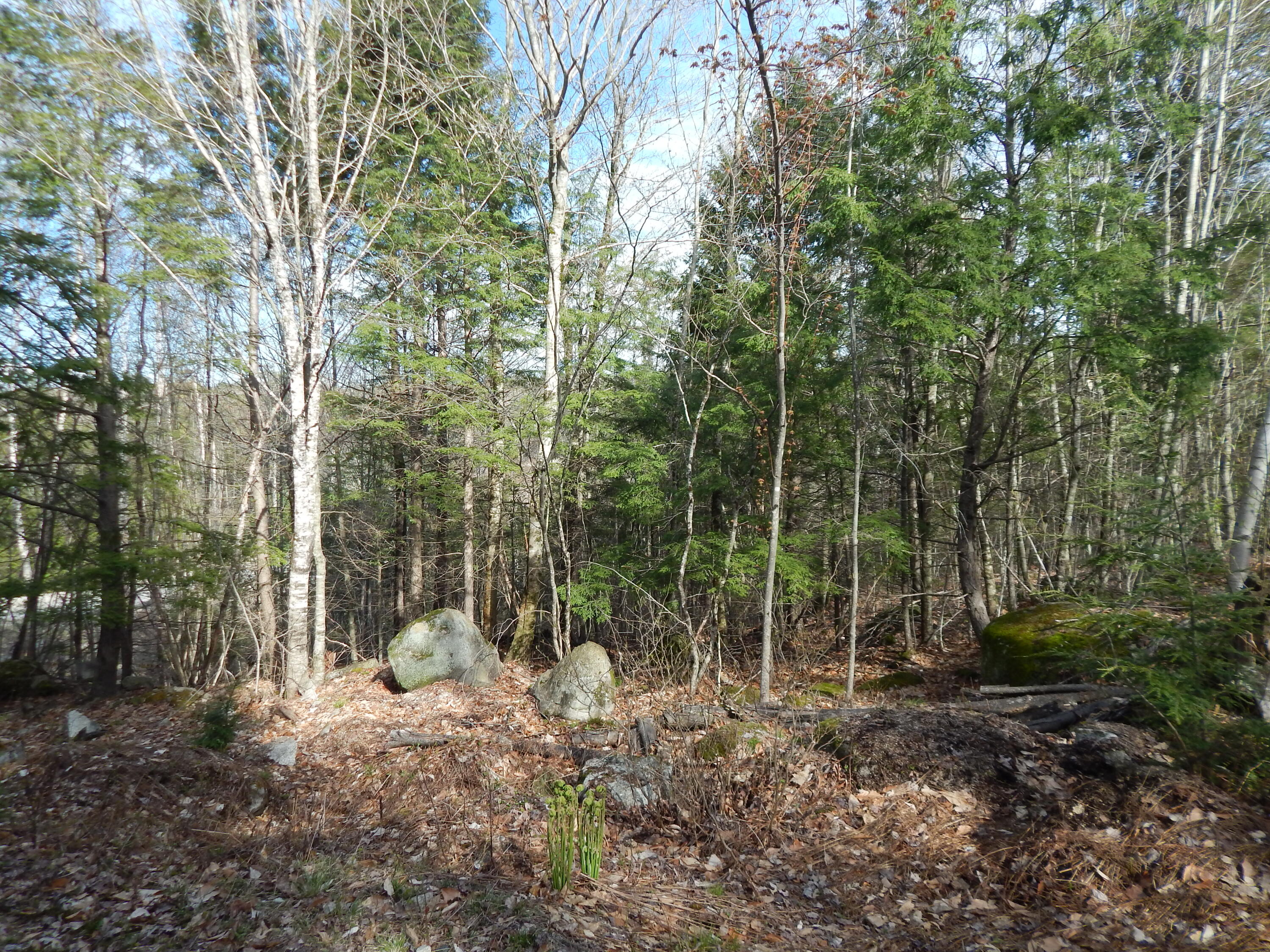 00 Intervale Road Bethel ME 04217