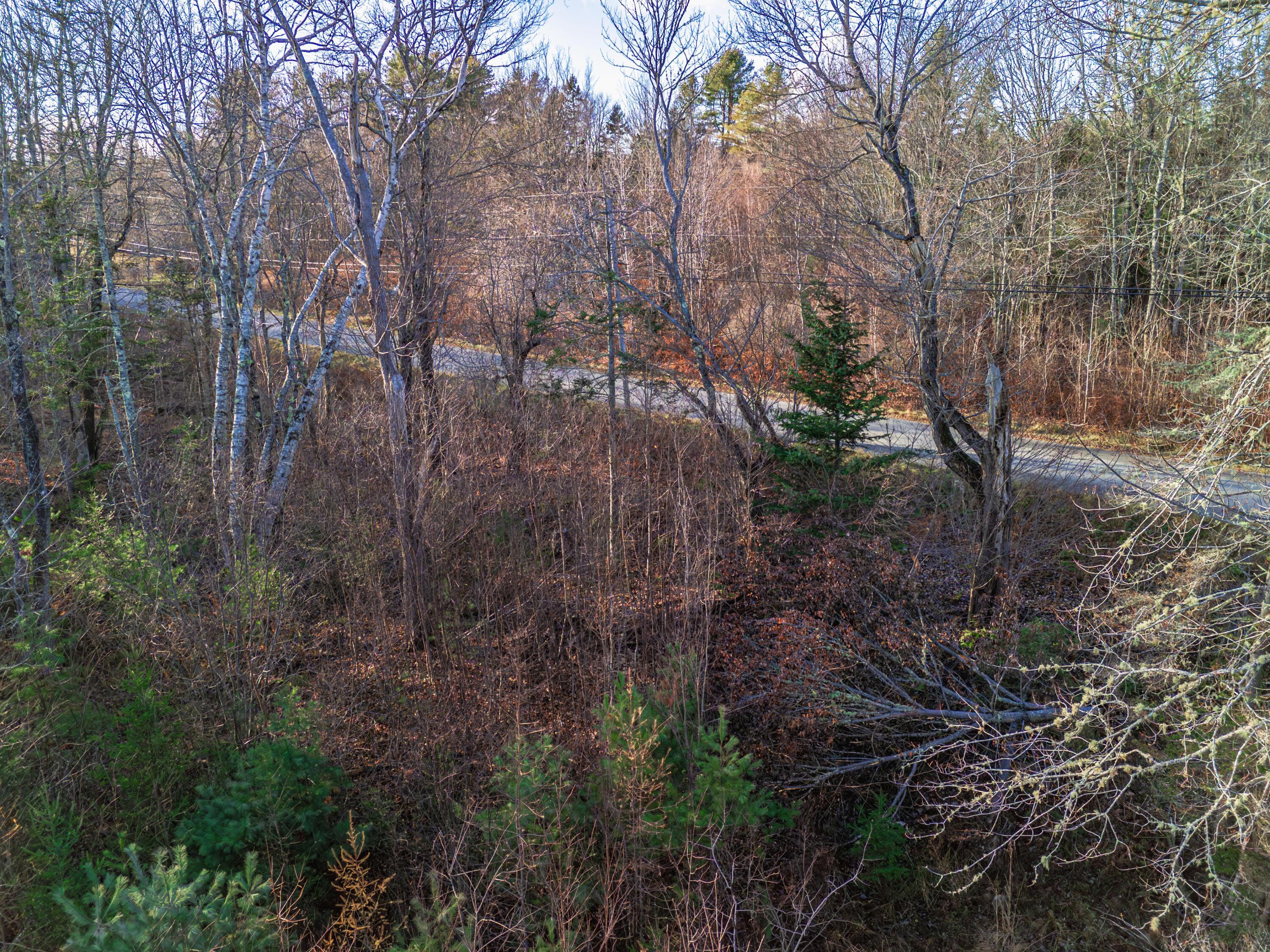 0 Cape Jellison Road Stockton Springs ME 04981