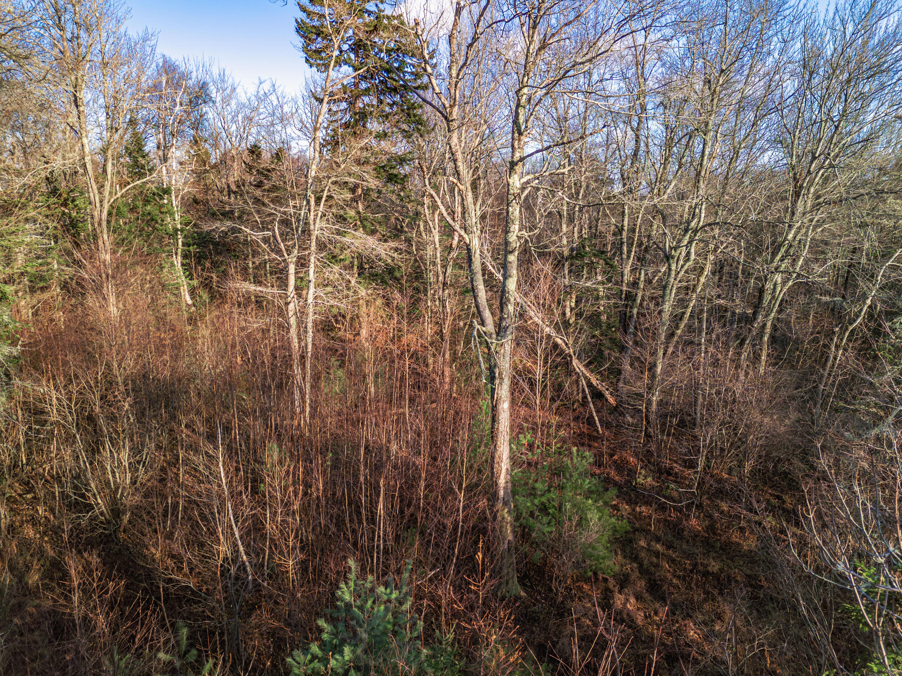 0 Cape Jellison Road Stockton Springs ME 04981