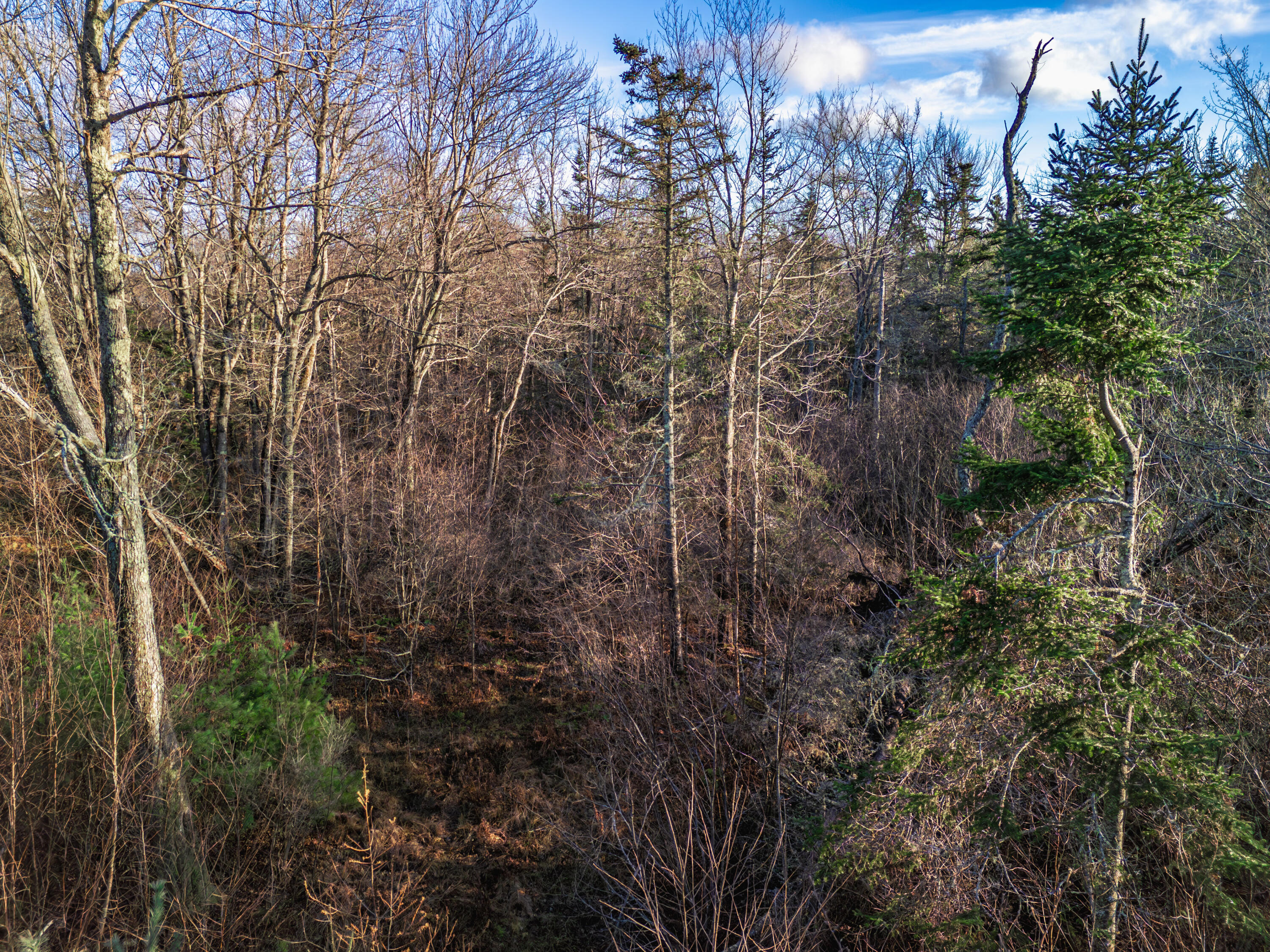 0 Cape Jellison Road Stockton Springs ME 04981