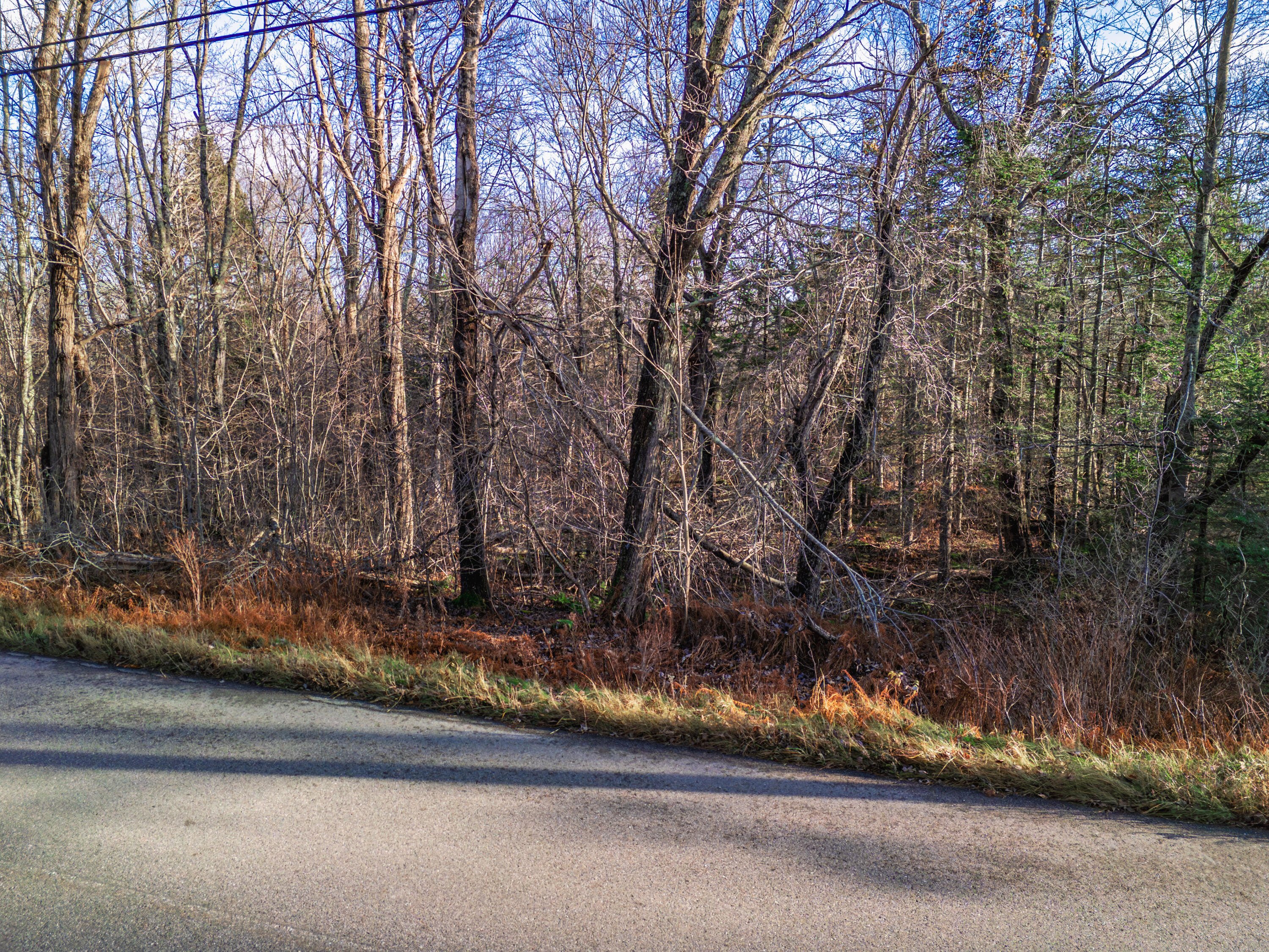 0 Cape Jellison Road Stockton Springs ME 04981