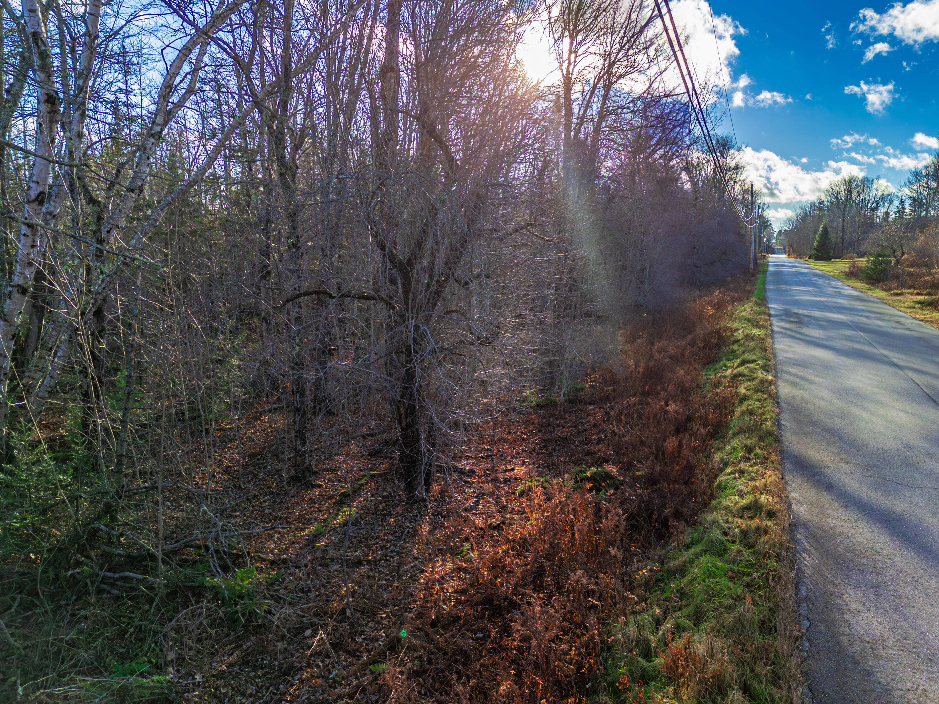 0 Cape Jellison Road Stockton Springs ME 04981