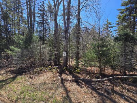 Lot #3 Turkey Cove Road Saint George ME 04860