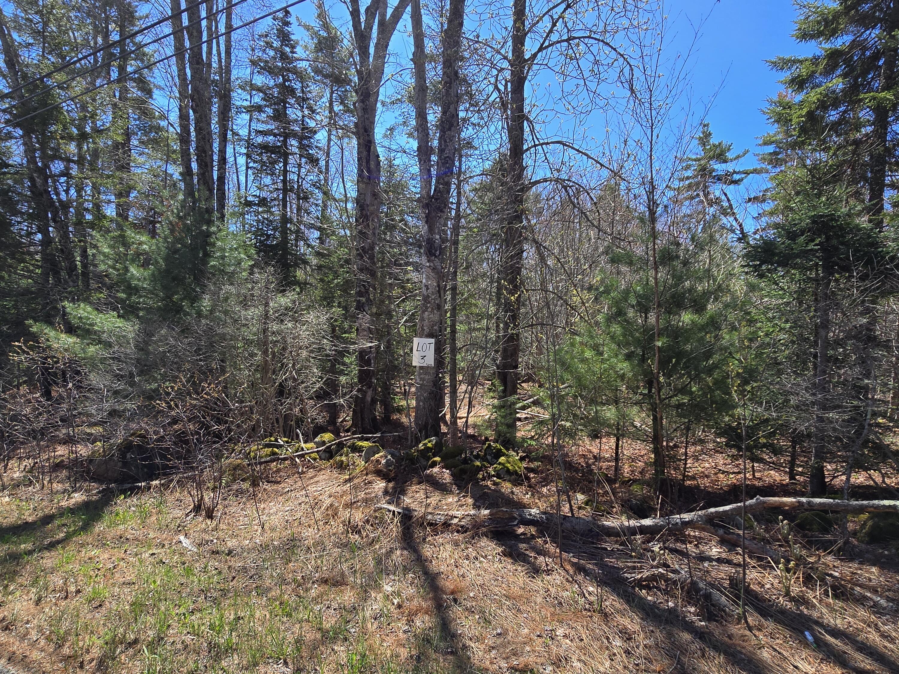 Lot #3 Turkey Cove Road Saint George ME 04860
