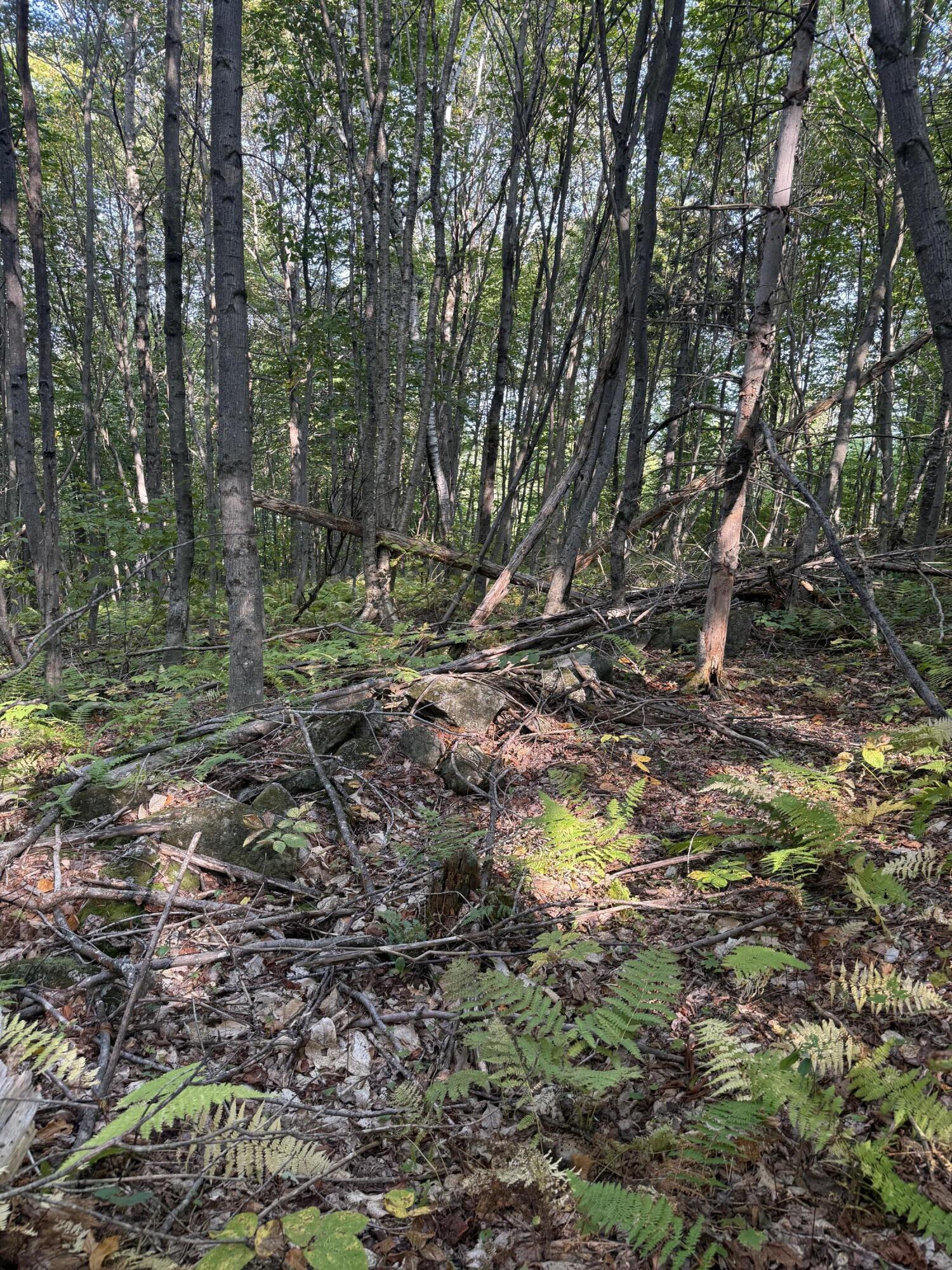 Lot# 55 Arlines Way Woodstock ME 04219