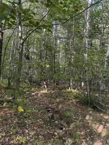 Lot# 55 Arlines Way Woodstock ME 04219