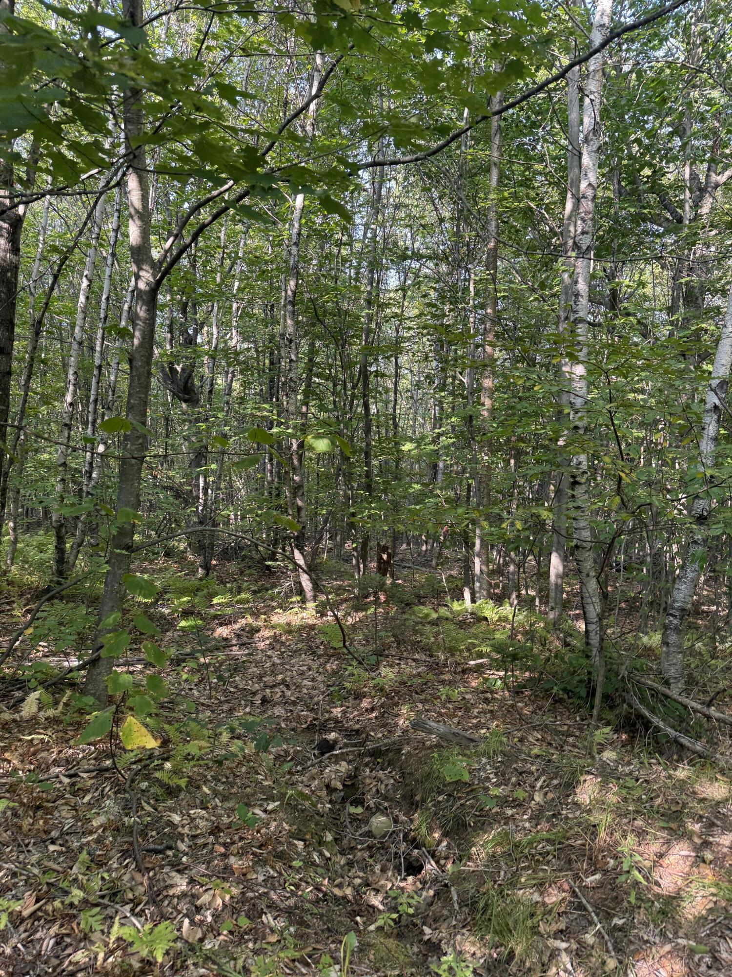 Lot# 55 Arlines Way Woodstock ME 04219