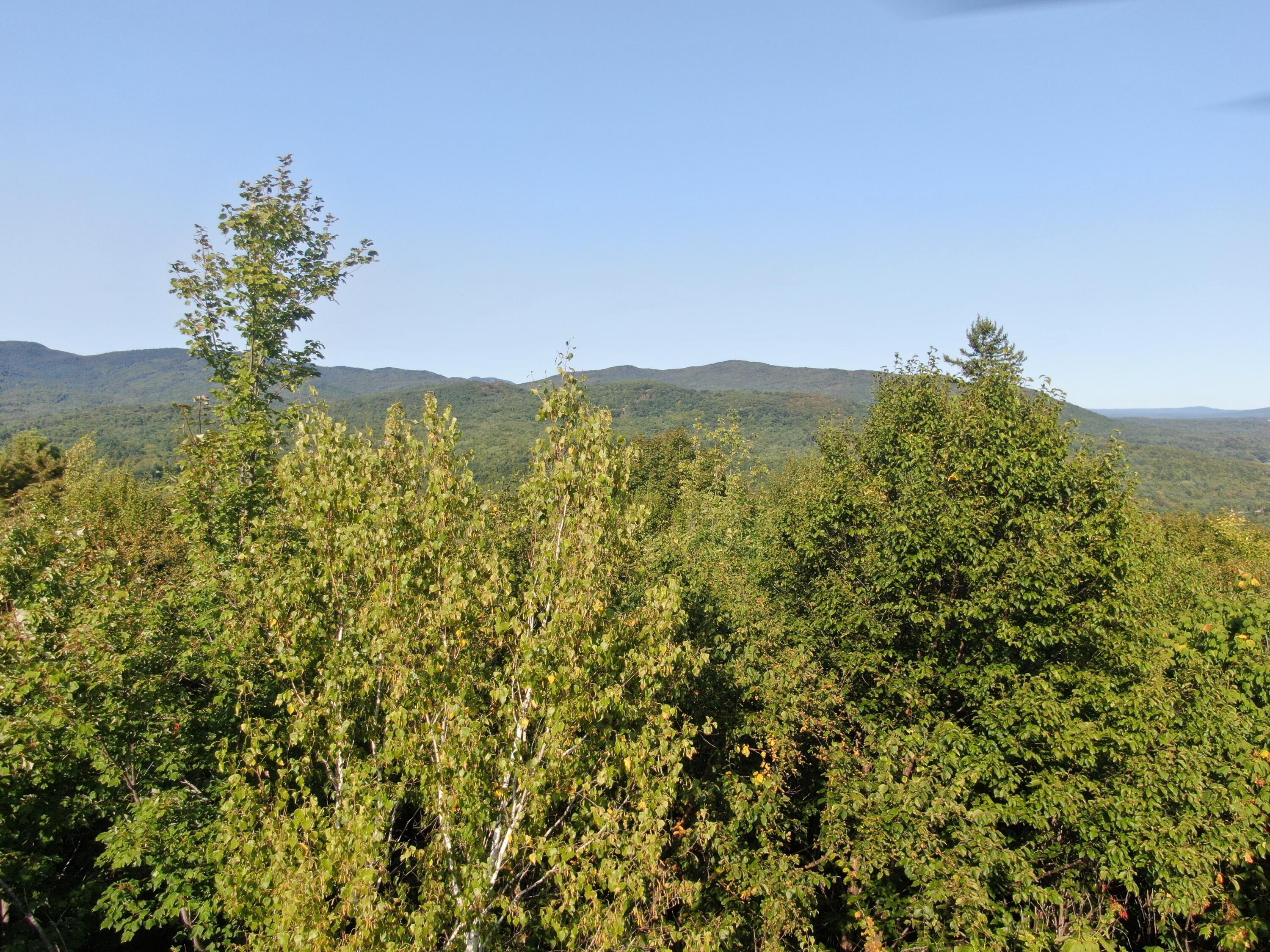 Lot# 55 Arlines Way Woodstock ME 04219