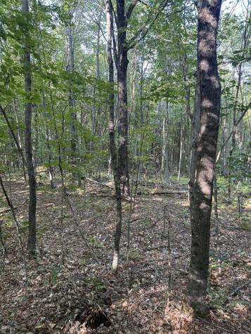Lot# 55 Arlines Way Woodstock ME 04219
