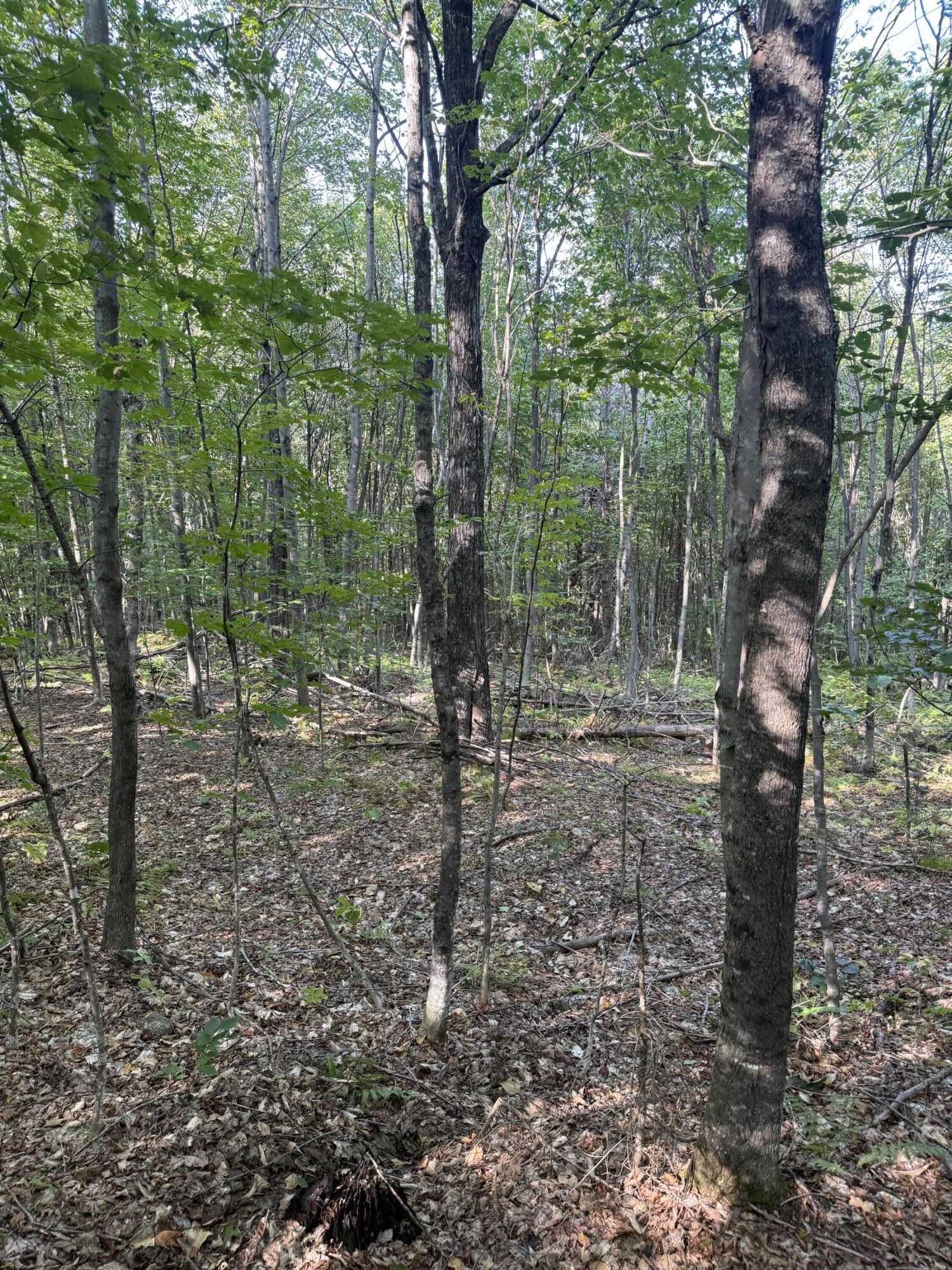 Lot# 55 Arlines Way Woodstock ME 04219
