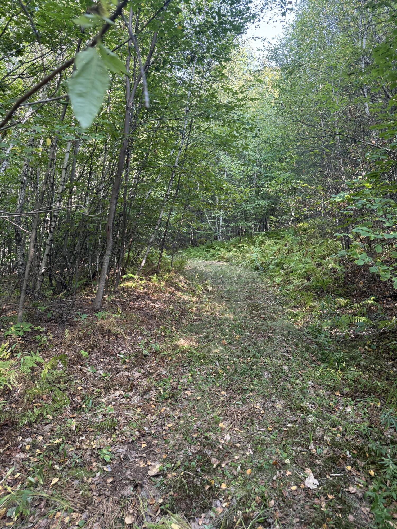 Lot# 55 Arlines Way Woodstock ME 04219