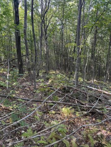 Lot# 55 Arlines Way Woodstock ME 04219