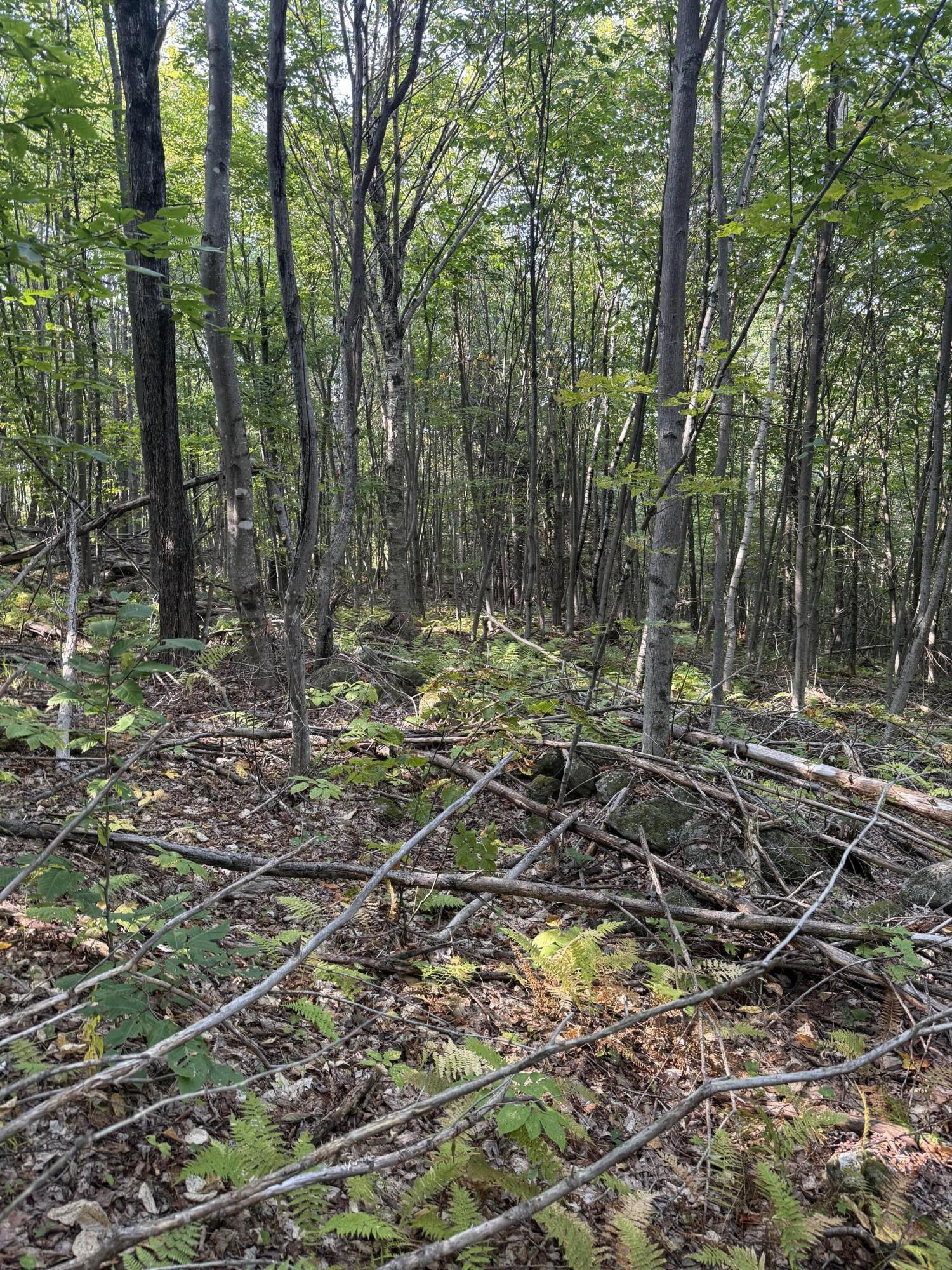 Lot# 55 Arlines Way Woodstock ME 04219