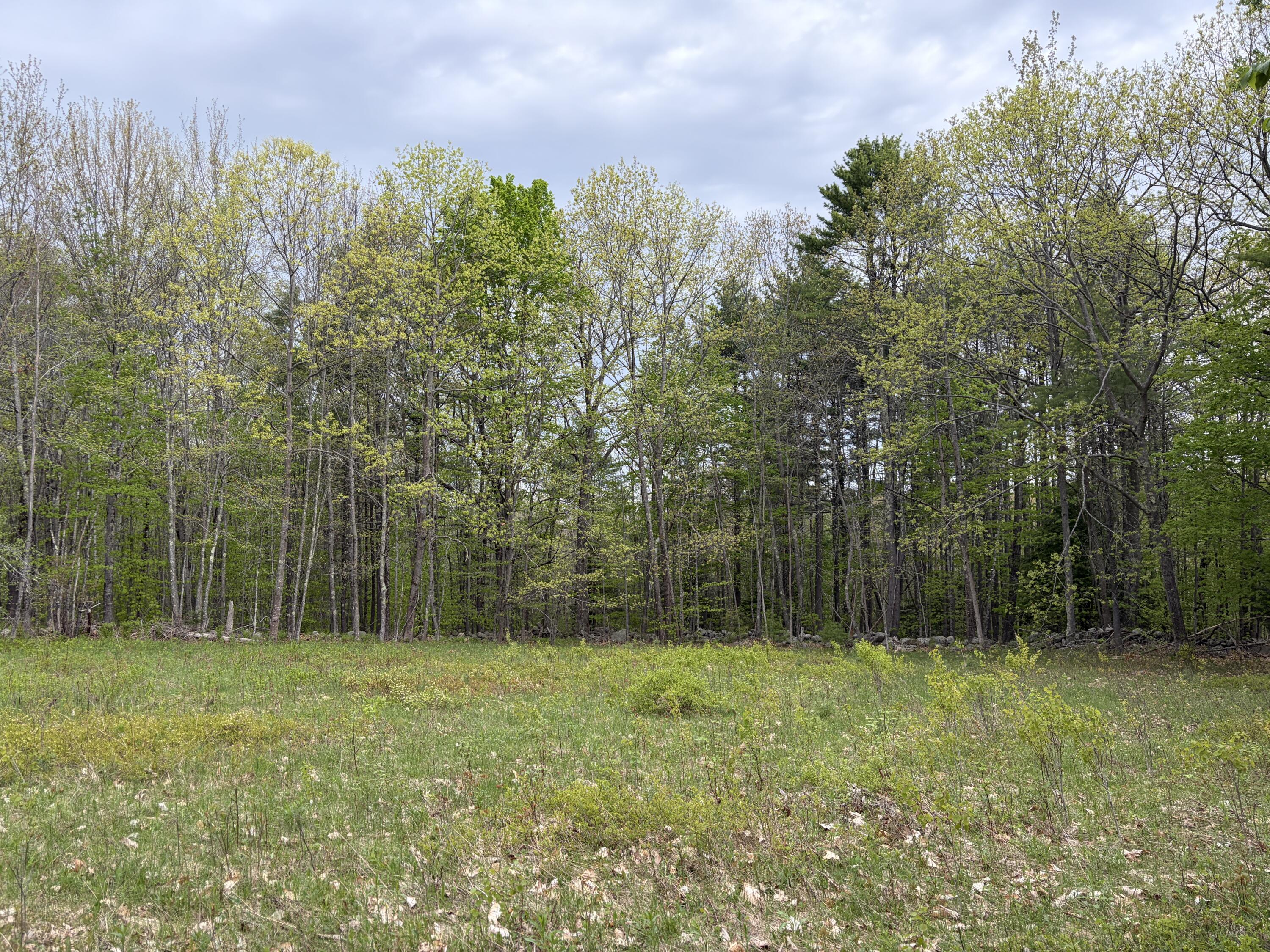 Lot 13-b2 South Town Farm Road Oxford ME 04270