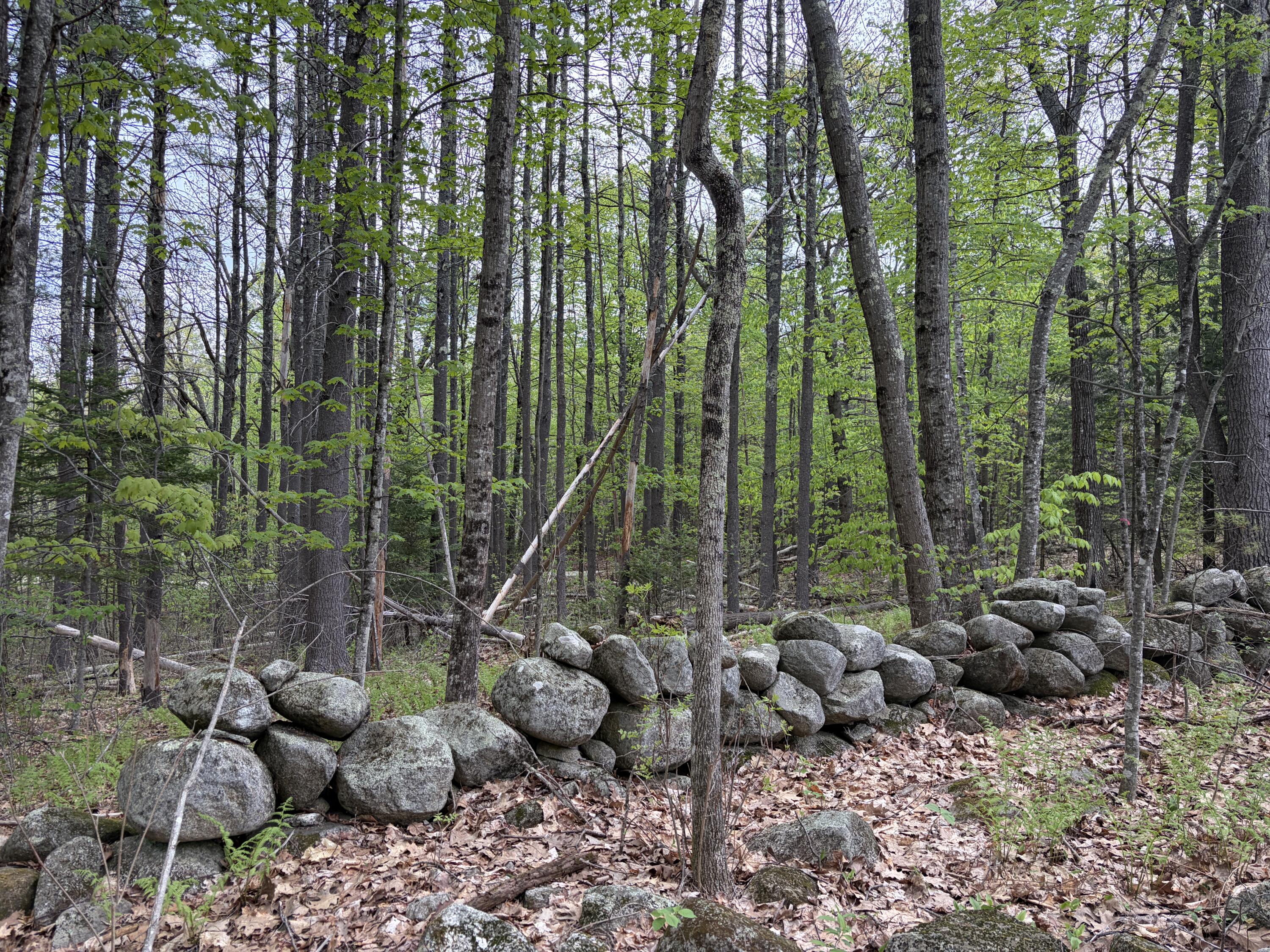 Lot 13-b2 South Town Farm Road Oxford ME 04270