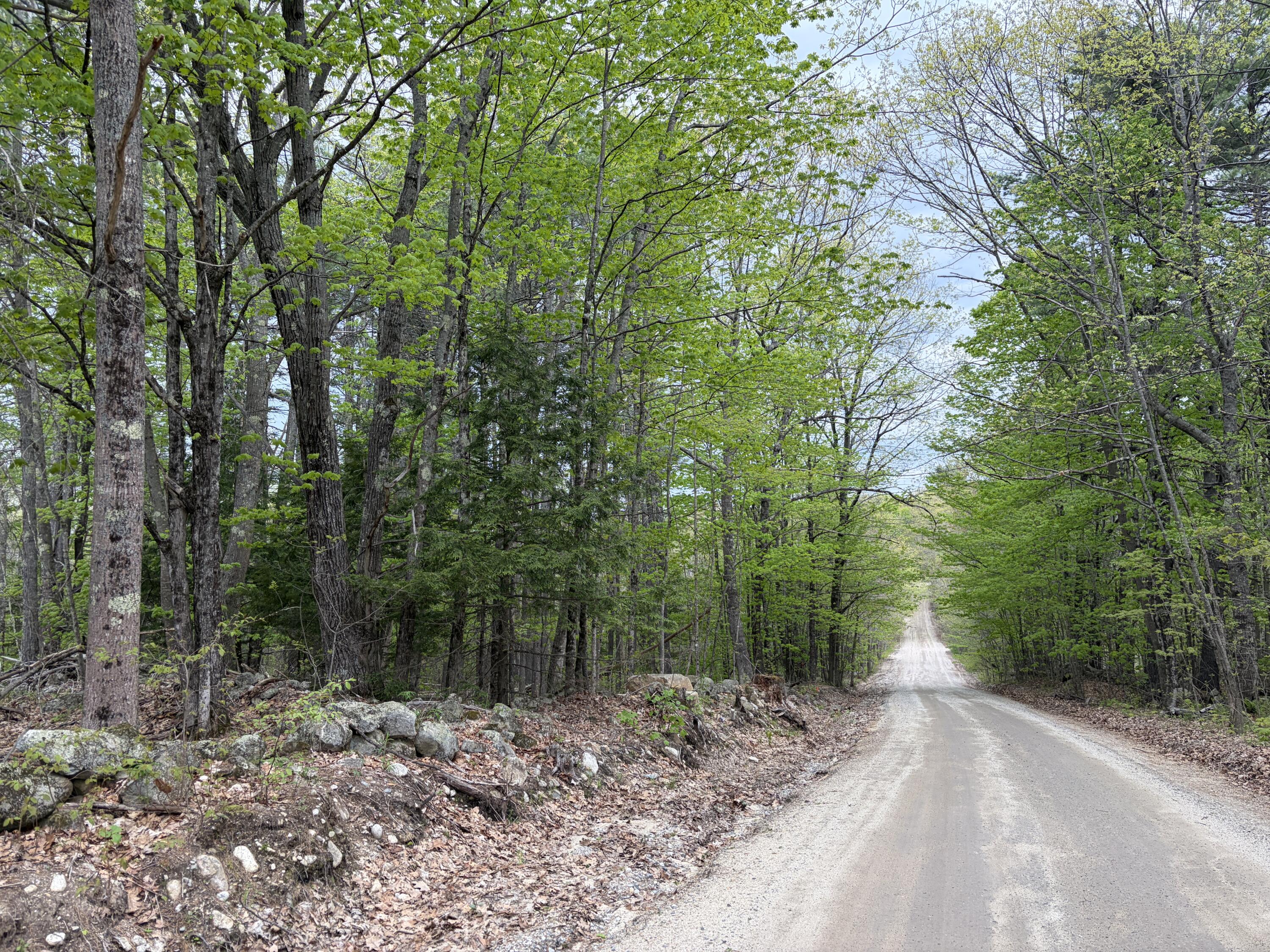 Lot 13-b2 South Town Farm Road Oxford ME 04270
