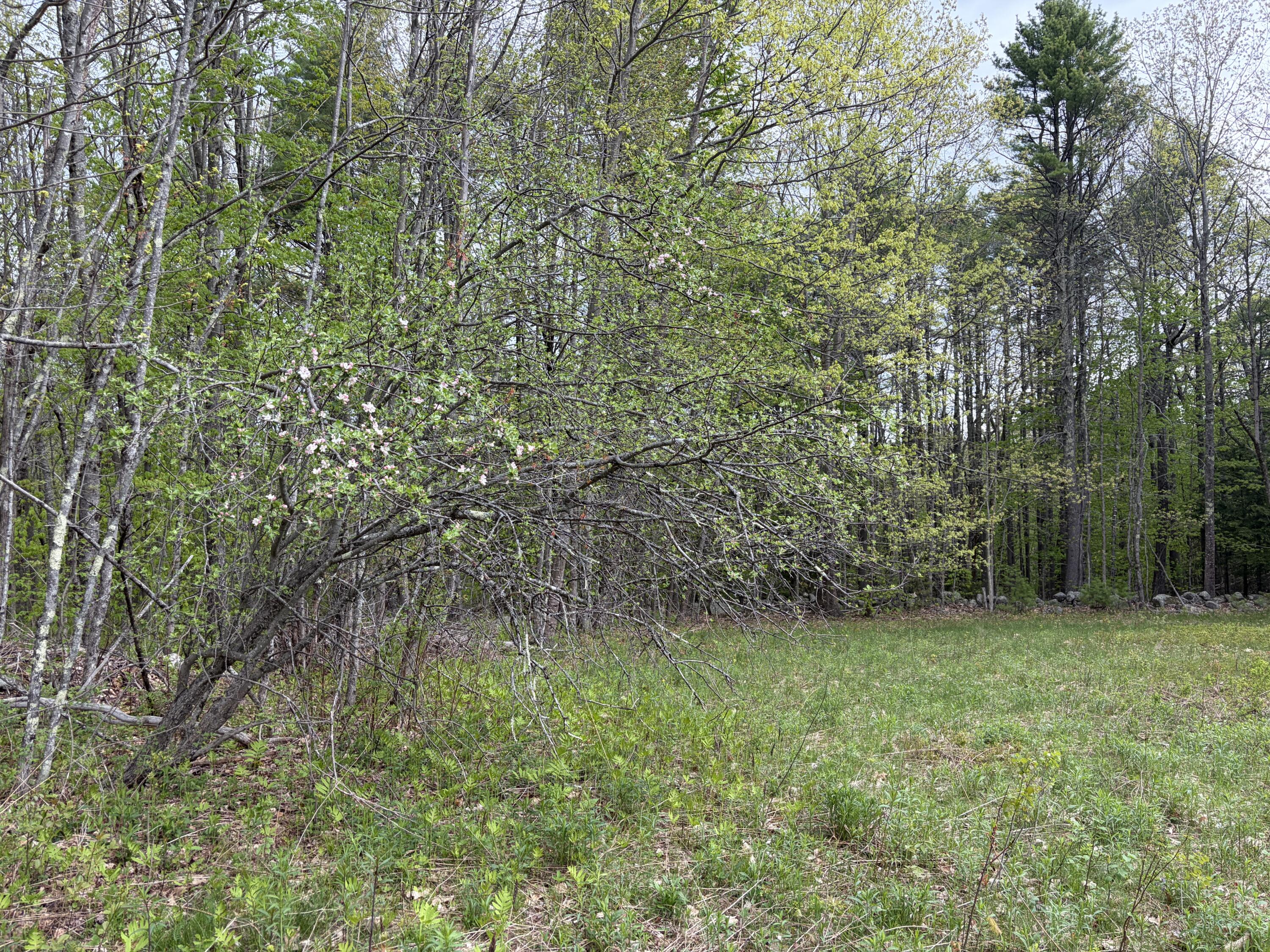 Lot 13-b2 South Town Farm Road Oxford ME 04270
