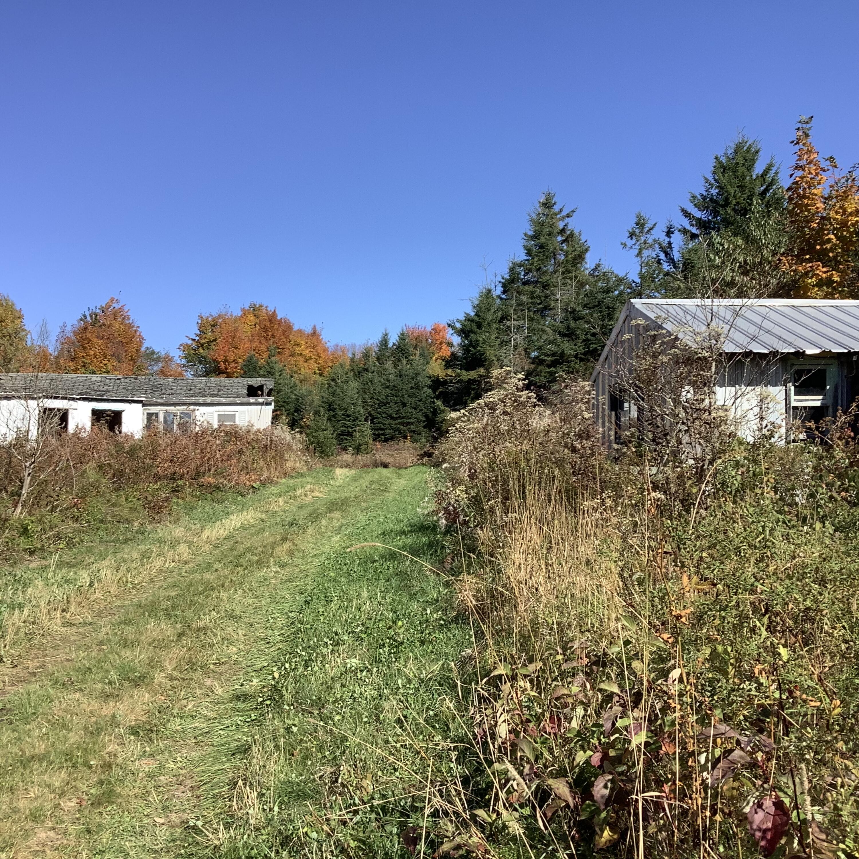 234 Ladner Road Easton ME 04740