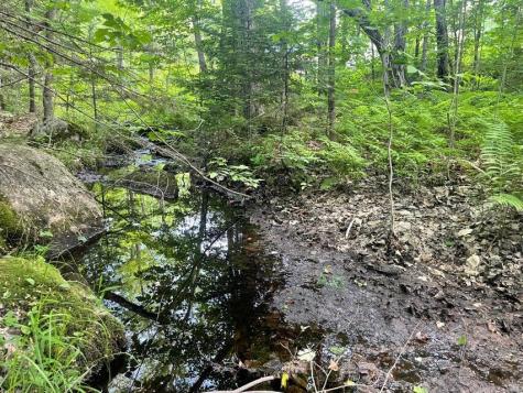 80 Gammon Road Peru ME 04290