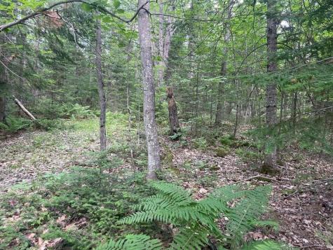 80 Gammon Road Peru ME 04290