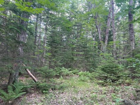 80 Gammon Road Peru ME 04290