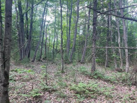 80 Gammon Road Peru ME 04290