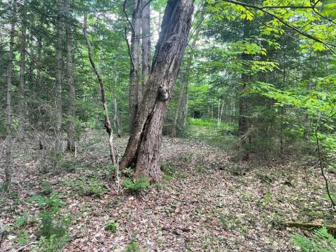 80 Gammon Road Peru ME 04290