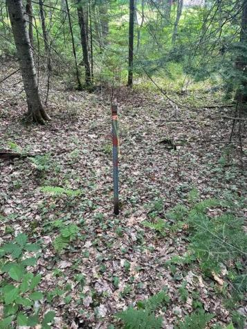 80 Gammon Road Peru ME 04290