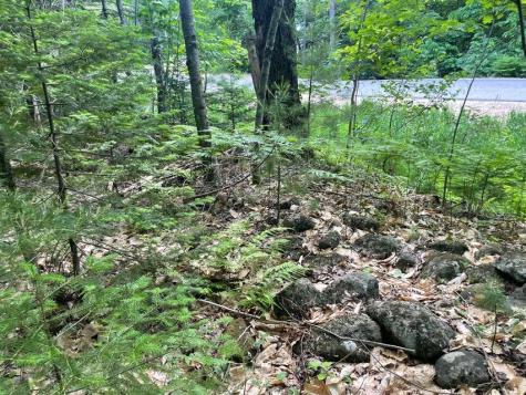 80 Gammon Road Peru ME 04290