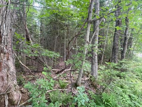 80 Gammon Road Peru ME 04290