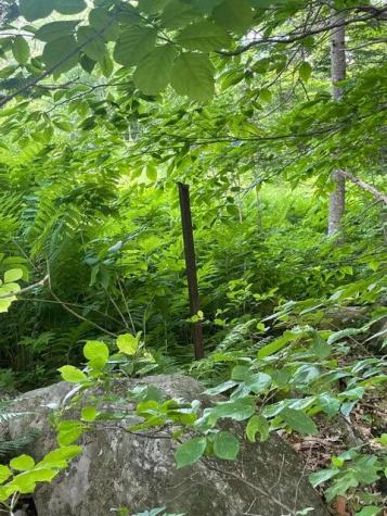 80 Gammon Road Peru ME 04290