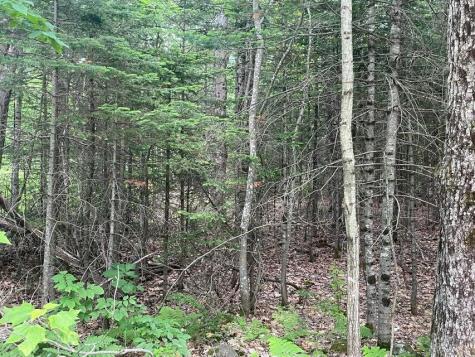 80 Gammon Road Peru ME 04290