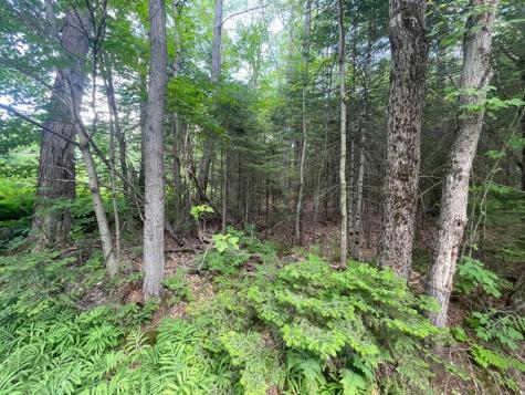 80 Gammon Road Peru ME 04290