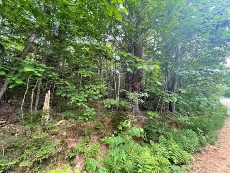 80 Gammon Road Peru ME 04290