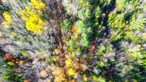 0000 Northfield Road Wesley ME 04686