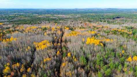 0000 Northfield Road Wesley ME 04686