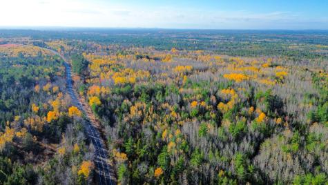 0000 Northfield Road Wesley ME 04686