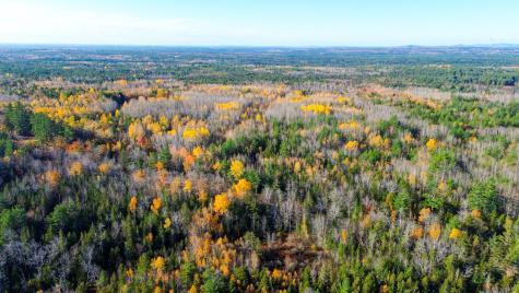 0000 Northfield Road Wesley ME 04686